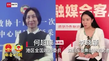 两会连线 | 港区全国政协委员何超琼：未来的发展规划和方向以大湾区为重头
