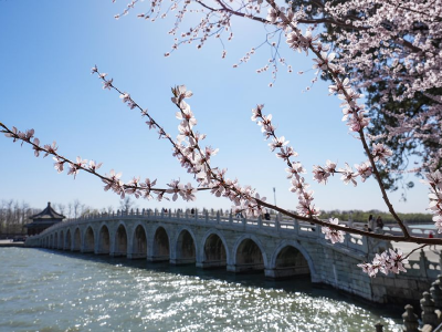 颐和园春景如画   