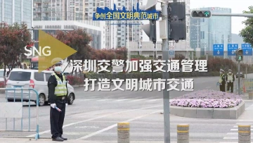 深圳交通文明早成市民习惯