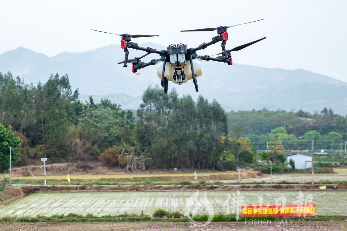 高明区明城崇步农业园区的广东银鹏农业有限(4434810)-20230313193742.jpg