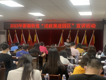 新湖街道进园区宣讲“惠企政策”，确保企业补贴政策应享尽享