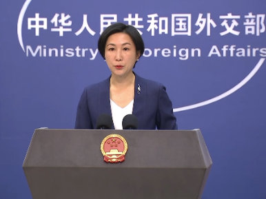 外交部：中国正式加入《取消外国公文书认证要求的公约》 11月上旬生效