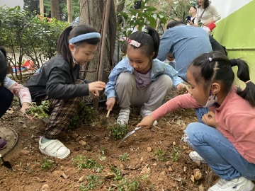 一起“种百草”，中医药科普走进园岭街道南天社区