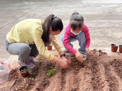 “童”心护绿，红荔社区儿童青少年种下一棵棵小树