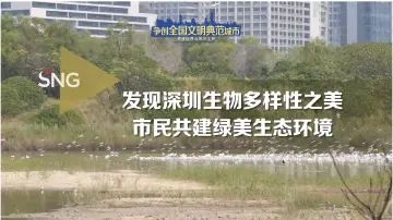 深圳植物爱好者共建绿美生态