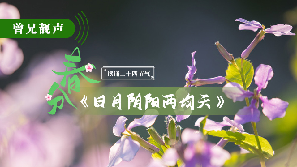 曾兄靓声｜第82期：春分原创美文《日月阴阳两均天》