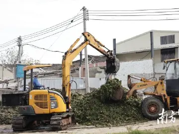 “腐菜”变“美味”？这家橄榄菜“行标”起草企业生产环境触目惊心