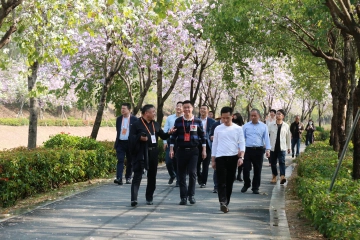 凤凰街道政协委员视察河流治理为辖区高质量发展建言献策