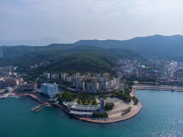 铆足劲，大鹏新区推进民政事业高质量发展