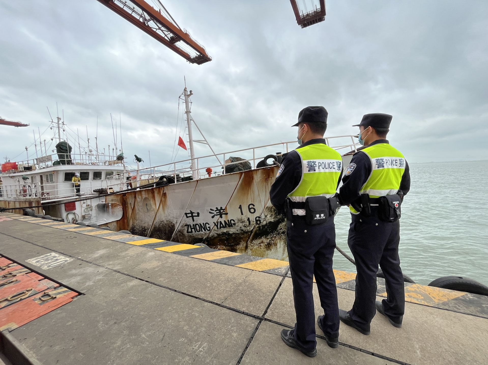 大铲湾港口规划深圳国际金枪鱼交易有限公司项目后迎来首批远洋金枪鱼