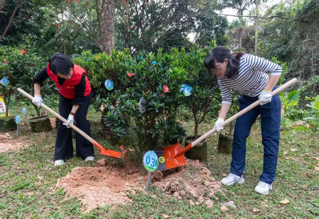 “植”此青绿，共赴春光！南山青年种下一片“青年林”