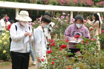 人民公园共赴春之约，罗湖区妇联组织100个深港家庭开展游园赏花活动