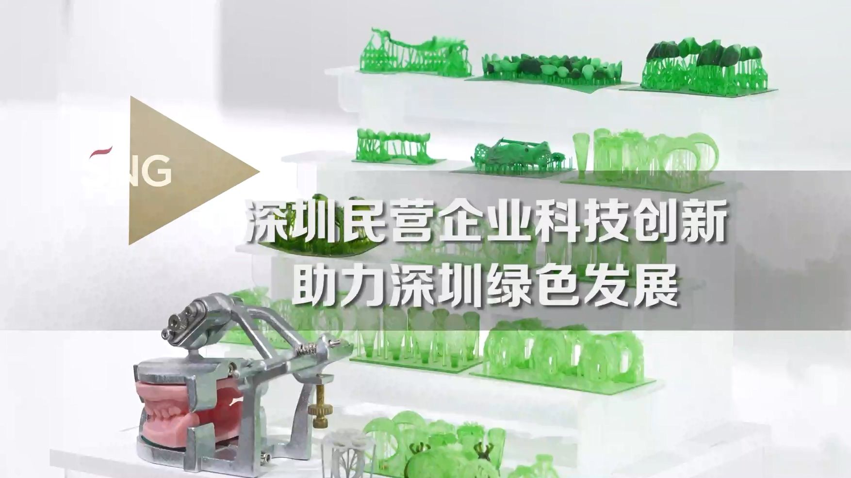 深圳民营企业为绿色发展贡献深圳力量