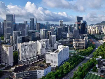 南山区召开全国文明城市创建工作推进会