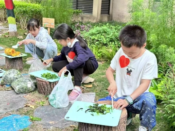 光明街道携手小小园丁，“趣香园”提升蚯蚓塔 | 给“地下工作者”建个补给站！