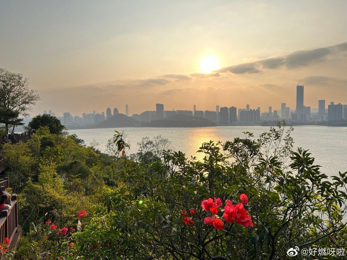 弱冷空气持续活跃！深圳下周再迎一波降温，第一声春雷要等多久？