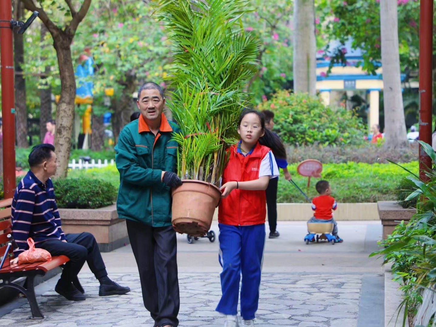 履“植”尽责，“绿美深圳”！第45个中国植树节，深圳市民这样度过