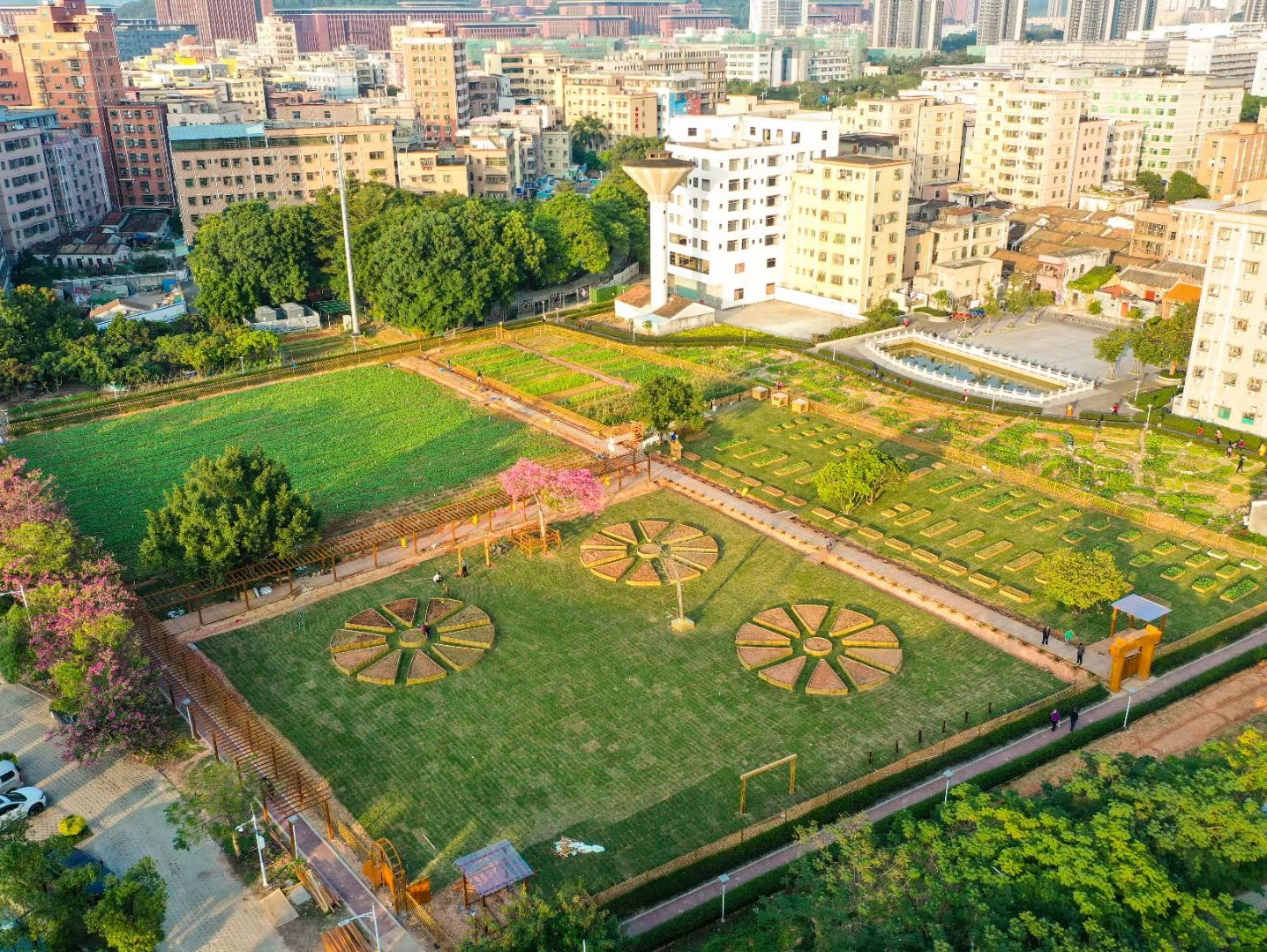 光明区精心打造“不一样出彩”的文明实践 将文明创建融入工作生活方方面面