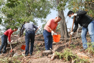 再添“新湖绿”！新湖街道开展全民义务植树活动
