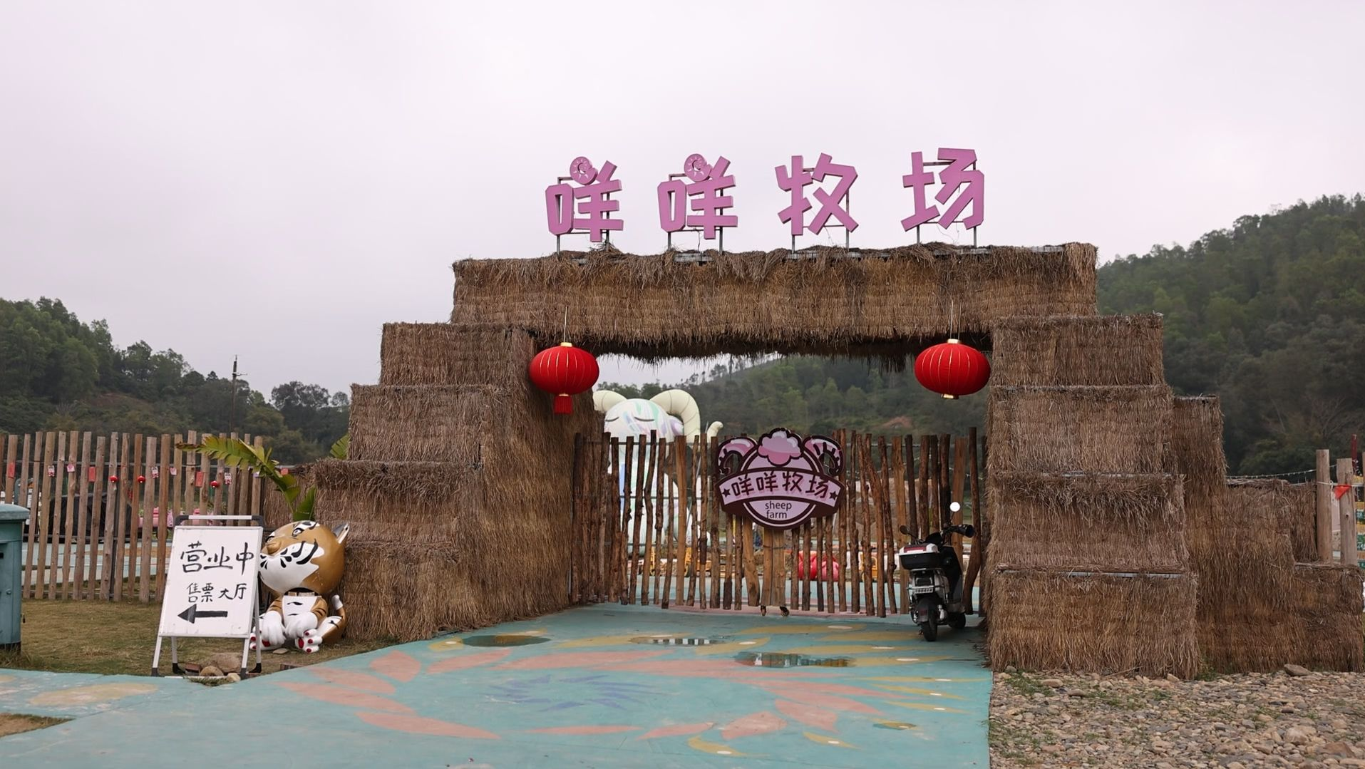 走进汕尾丨田园变乐园  陆丰河东“咩咩牧场”开拓业态