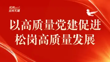以高质量党建促进松岗高质量发展