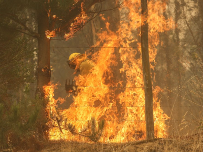 西班牙瓦伦西亚大区火灾已烧毁超4000公顷土地