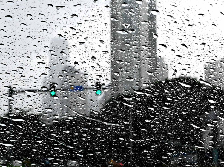 四警齐发！深圳迎来今年首场雷雨大风天气