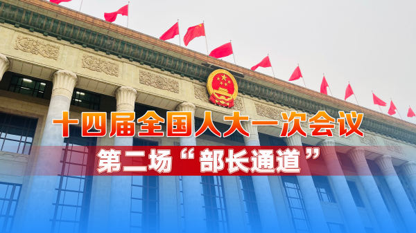 直播回顾丨十四届全国人大一次会议第二场“部长通道”
