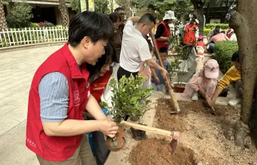 “植”此青绿，共“树”春晖 公明社区植树正当时