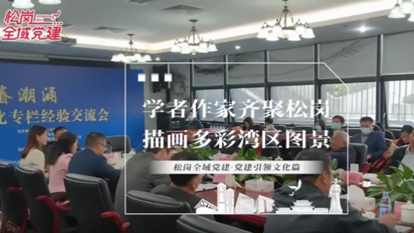 视频 | 松岗全域党建·党建引领文化篇：学者专家齐聚松岗，描绘多彩湾区图景