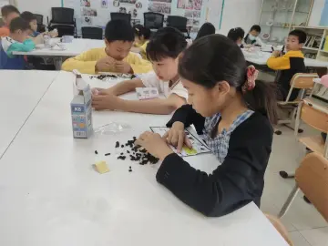 积木拼拼乐！凤凰街道V爱之家帮助青少年释放压力