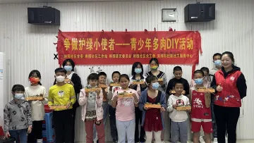 马田街道将围社区开展多肉植物盆栽DIY活动 引导青少年争做护绿小使者