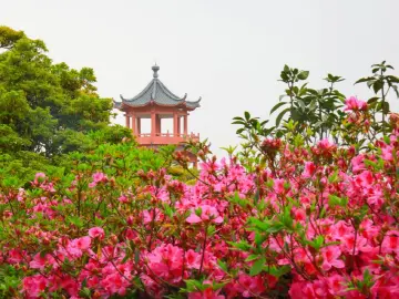 世界水日丨领略“一半山水一半城”的罗湖之美