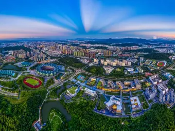 聚焦主业服务大局，龙岗区民政事业高质量发展