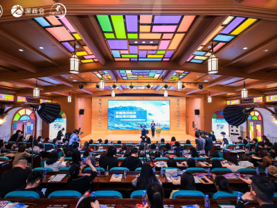 第四届大湾区木棉论坛在深圳启幕，聚焦产业发展“她力量”