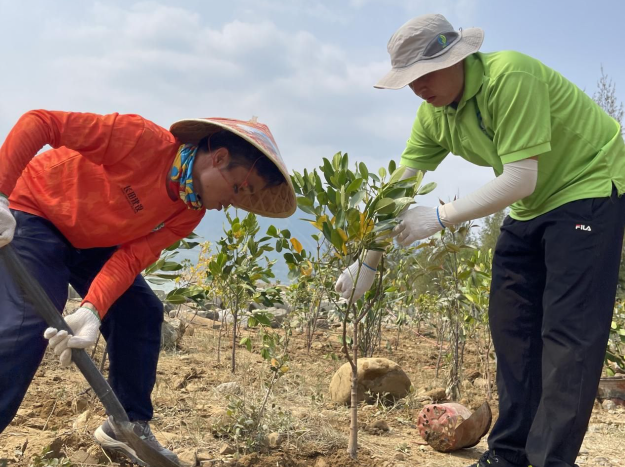 植树节到了！来和深圳市绿源环保志愿者一起种植红树修复生态
