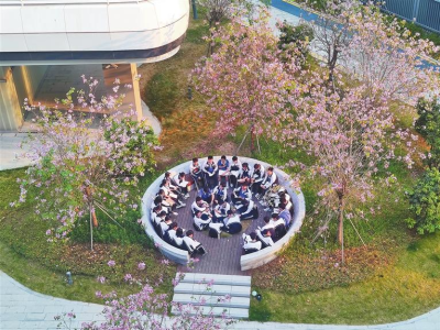 深圳市格致中学刮起最炫读书风 花园晨读成最美校园风景