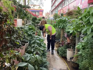 无人机上阵帮忙，园岭街道开展“禁种铲毒”踏查工作    