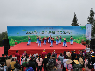 江西龙南：千人徒步探茶园，万亩虔茶迎采摘