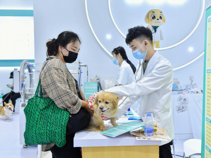 医疗科技带上宠物经济？第九届深圳国际宠物展备受关注