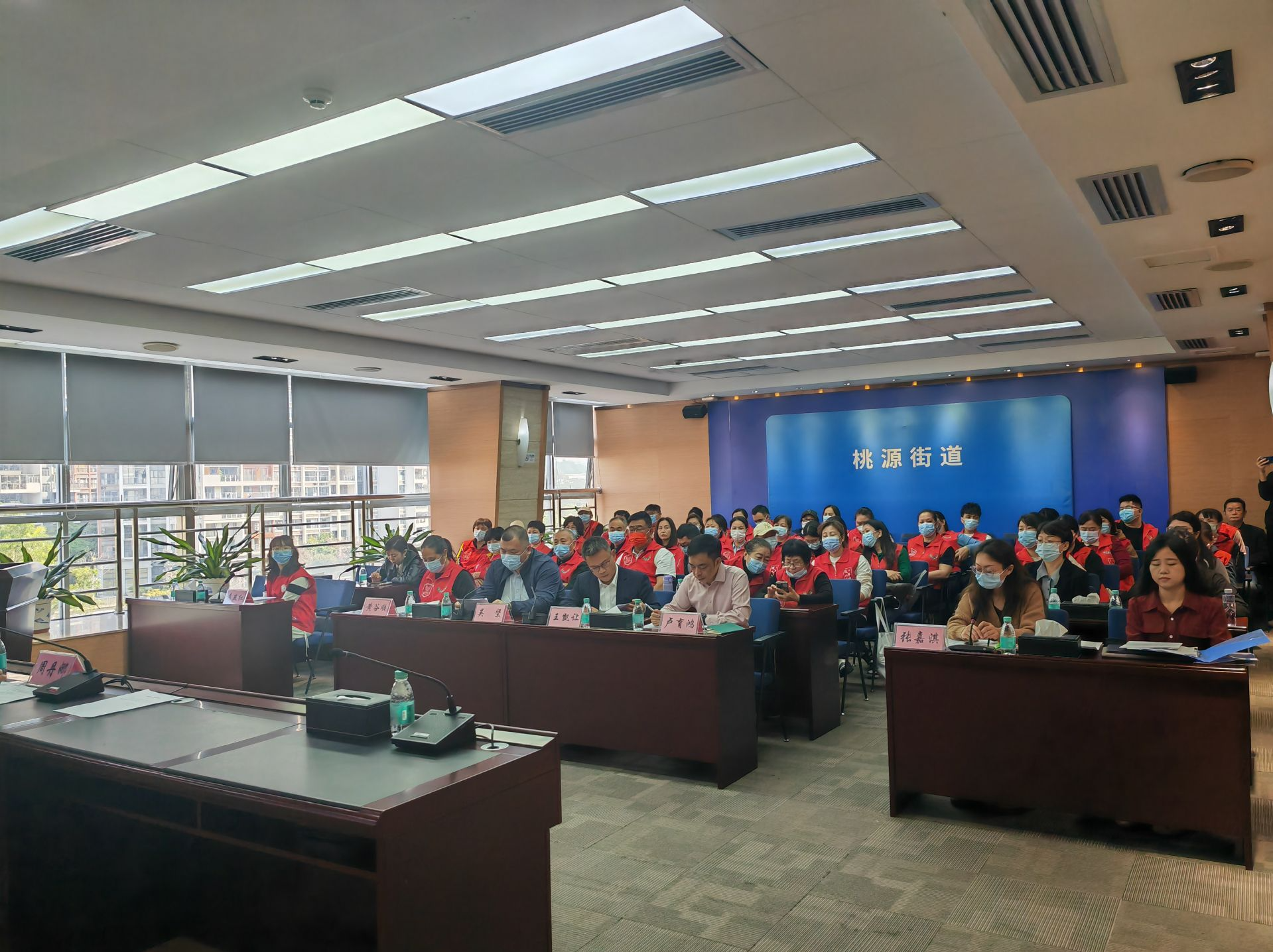 南山区桃源街道志愿者联合会正式成立