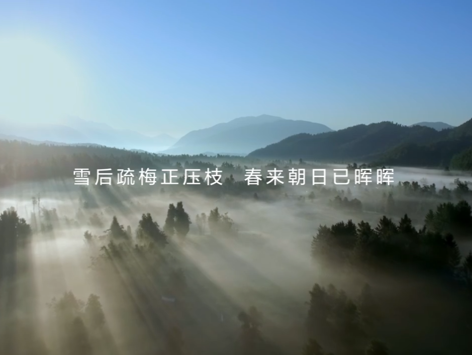 一张图看懂华为2022年年报