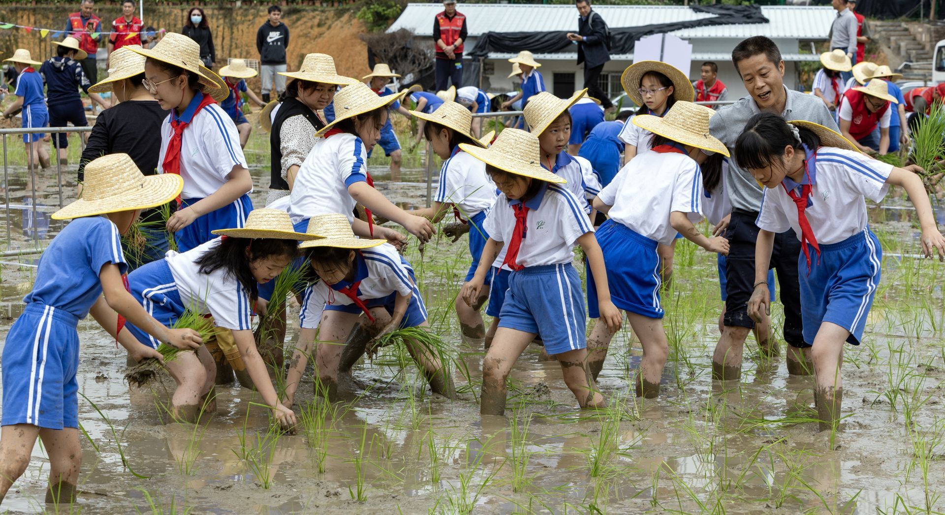 深圳白芒小学图片