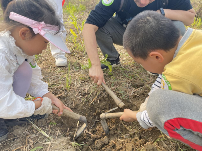 “走读深圳——环保植树行”活动在大鹏展开