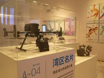 专访 | 策展人张新英：看见大湾区设计作品背后的社会价值和文化价值