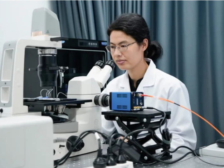 深圳湾实验室科技创新人物巡礼㉔｜李芬芳：在STEM学科边界一路“狂飙”的斜杠女孩