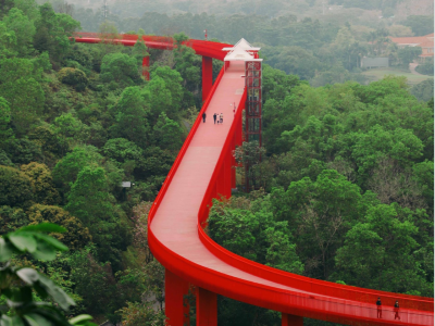深圳IMAGE | 空中系列① 森林中的“空中廊桥”