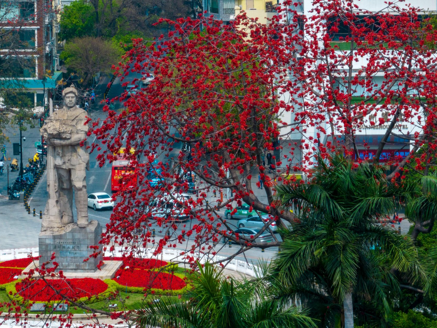 花城春早 最是那一抹木棉红