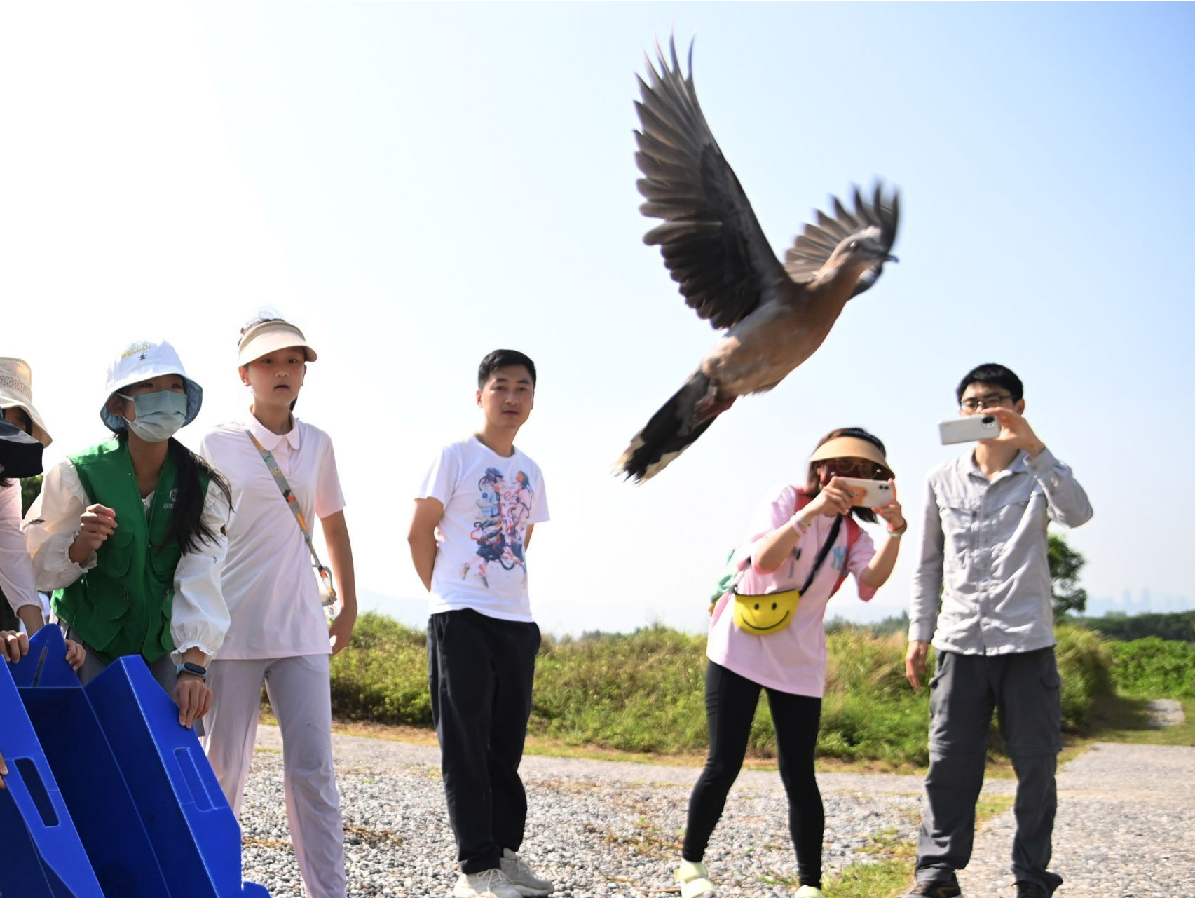 助力第四十二届“爱鸟周”，深圳举行野生鸟类放归活动