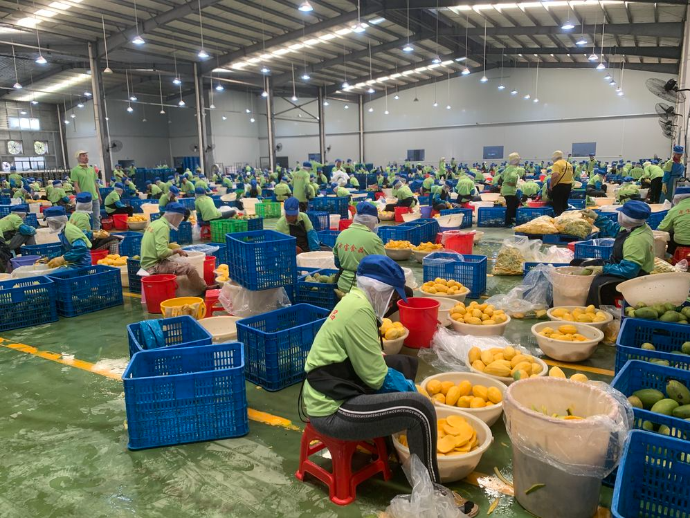 一季度我国外贸形势观察：稳中向好，暖意渐浓